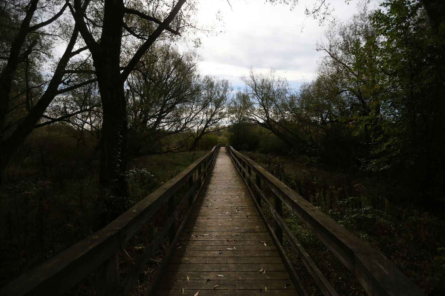 Birdsong Park Nature Trails